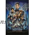Black Panther - Marvel Movie Poster / Print (Regular Style / One Sheet Design) (Size: 24" x 36") (Black Poster Hanger)   